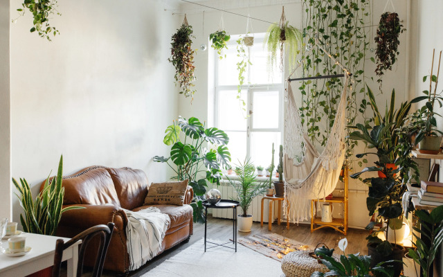 Urban jangle Flat
