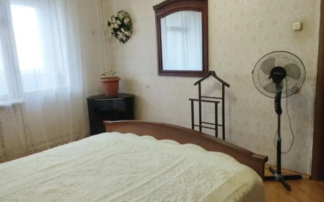 V Tsentre Goroda Flat
