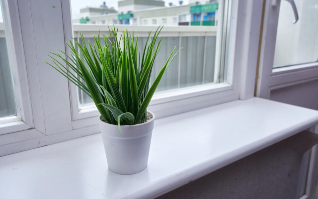 Квартира Город на Ладони