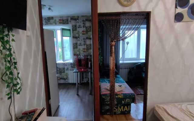 Zhilibyli Flat