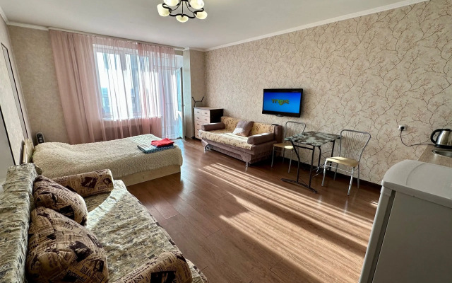 Квартира 1 комнатная квартира студия улица 50 лет ВЛКСМ 13/1