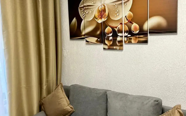 Апартаменты N3 на Петроградке