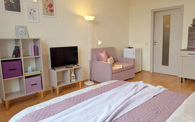 Апартаменты Видовая Студия