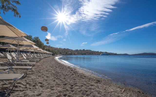 Regia Mare Beach Hotel Bodrum Hotel