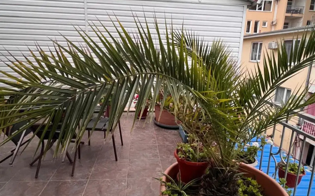 Aelita Guest House