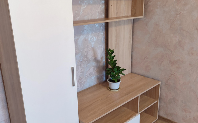 Квартира Зеркальное Пространство