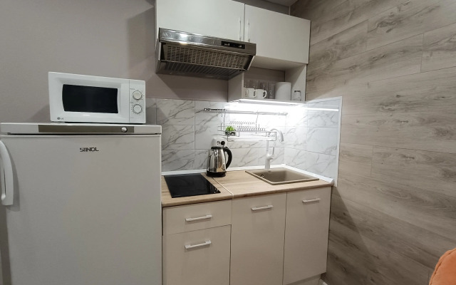 Studiya V Tsentre Ryadom S Zhd I Avto Vokzalami Apartments