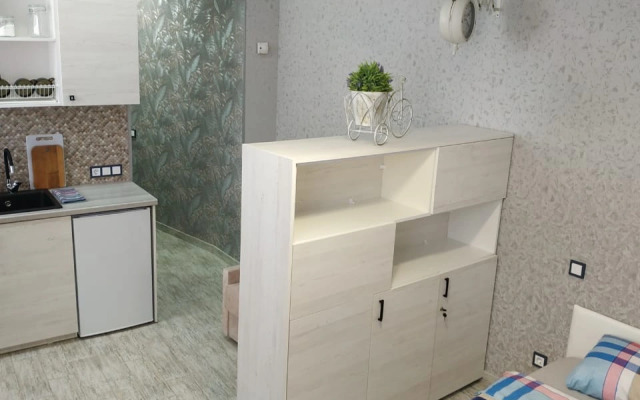 Квартира Студия на Автовокзале