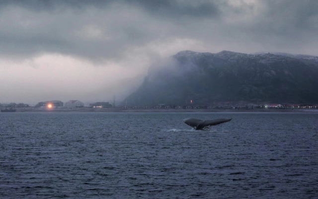 Мини-отель Терь