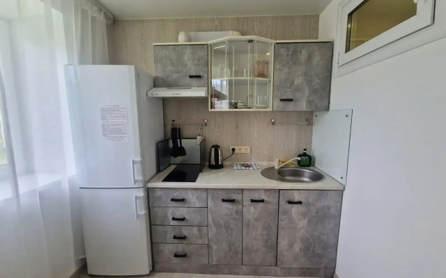 Квартира на Пушкина 27Ж