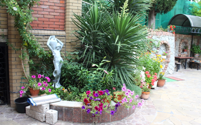 Chayka Guest house