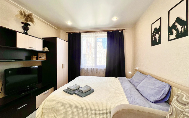 Апартаменты 51 с Шикарным Видом Сканди на Старостина, 33