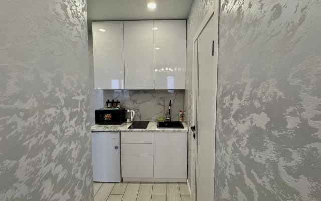 Апартаменты Аврора Автовокзальная д.4, 4 этаж