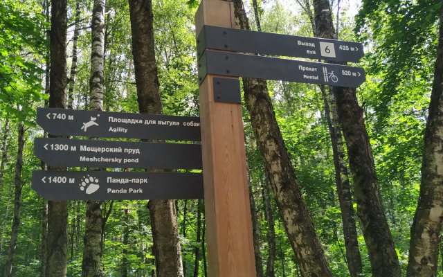 Квартира на 25 этаже с видом на лес