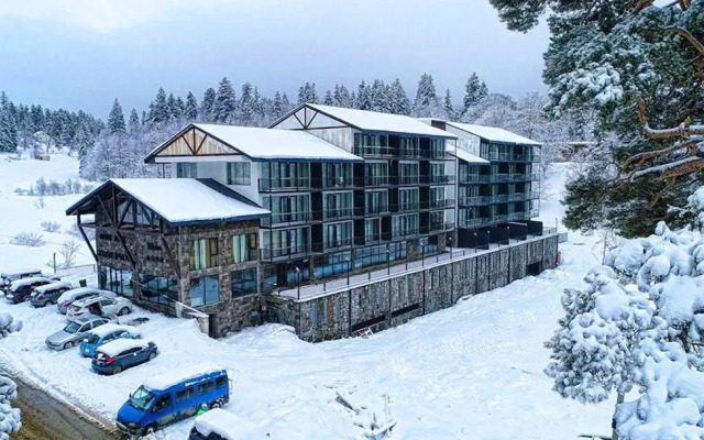 Cozy Apartment in Bakuriani, Kokhta Apartment Hotel