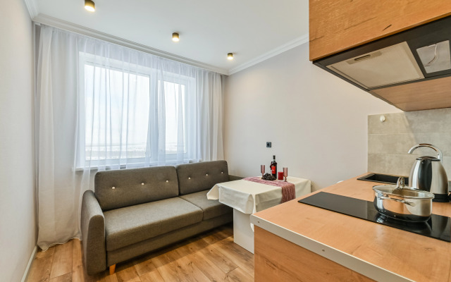 Odnokomnatnaya V 15 Minutah Ot Aeroporta Apartments