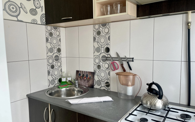 Odnokomnatnaya Lyuks U Dk Metallurgov Flat