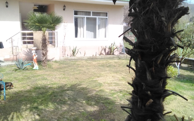 Dikaya Orhideya Guest House