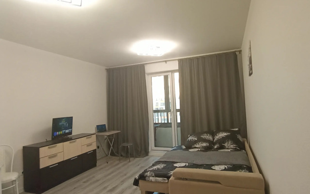 Studiya Pervaya Na Neve V Gorode Pervykh Flat