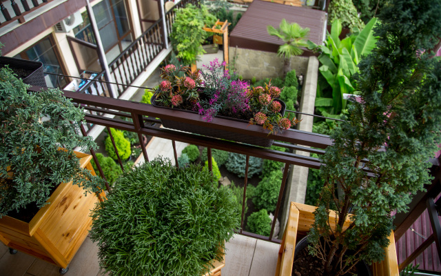 Regaliya Guest House