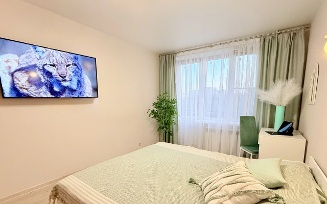 Stylish spacious near the center of Loginov Flat