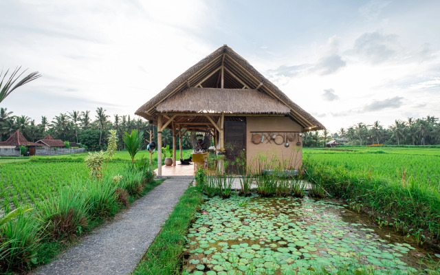 Pondok Mawas Hotel