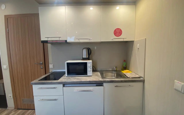 Samotsvet Na Moskovskom Prospekte Apartments