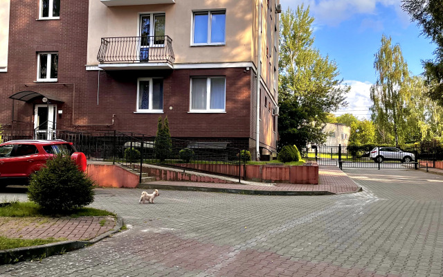 Uyutnaya ryadom s morem Svetlogorsk Flat
