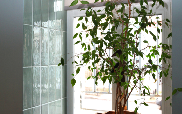 Апартаменты Botanica Art Aparts 2