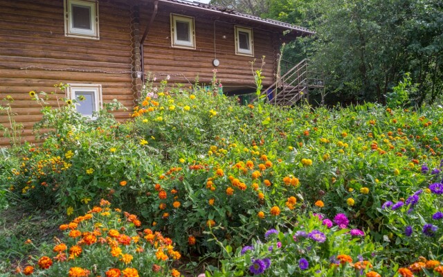 Fokino-Privolzh'e Recreation camp