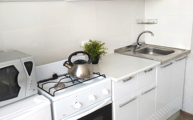 Nizhniy Tagil Flat