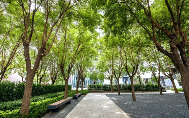 Апарт-отель CM+ Serviced Apartment Beijing Huashang