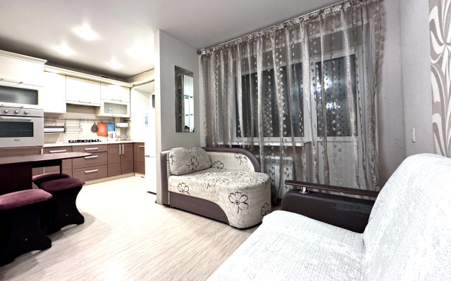 Квартира 2комнатная Студия YarApartments на Толбухина 31