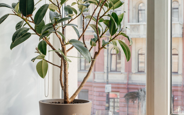 Апартаменты ApartH с видом на город и камином