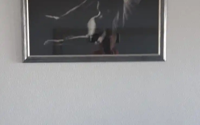 U Trk Rodnik Apartament