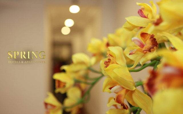 Spring Hotel