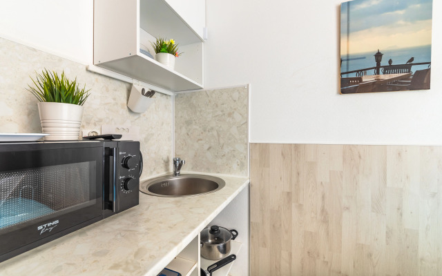 Квартира Двухместная студия возле Александро-Невской лавры (Х7)