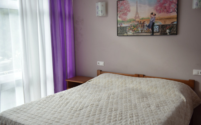 Svirskaya Tishina Guest House