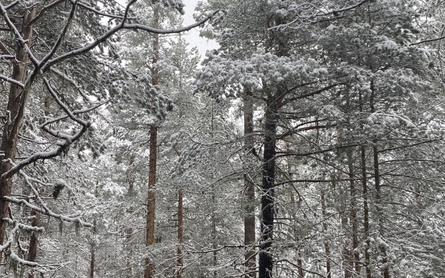 Шале Shale A-travel