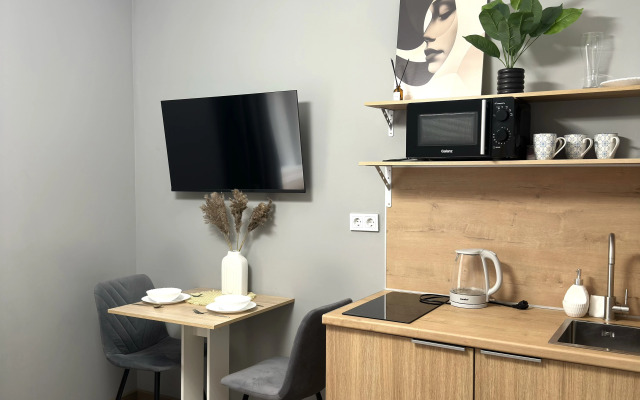 Апартаменты Уютная студия на пушкинской