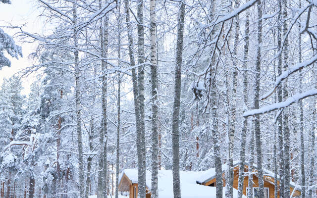 База отдыха Шишки Карелия