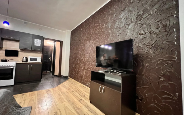 Квартира Студия Вояж на 50 лет ВЛКСМ Центр