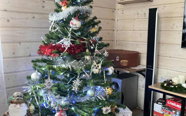 Частный дом в соснах