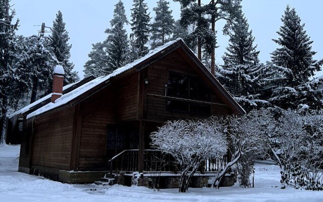 Koloskovo Private house