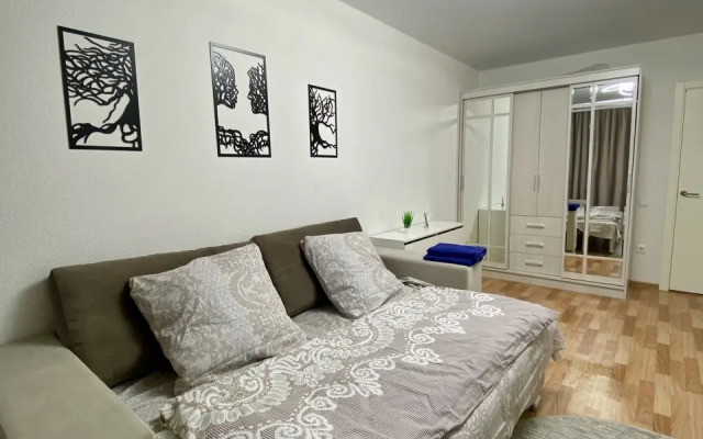 Uyutniye V Tsentralnom Rayone Apartments