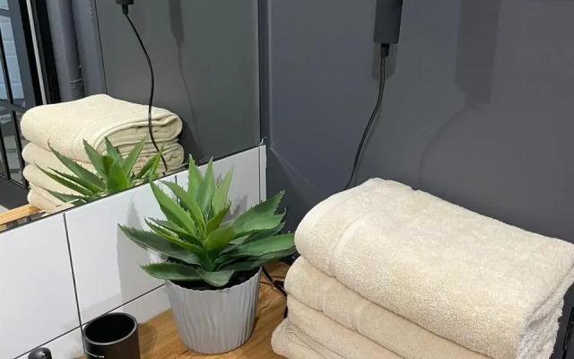 Апартаменты Люкс на проспекте Мира