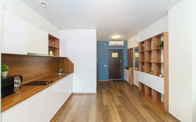 4 Apartamenty Radius Na Malysheva 42A (20)