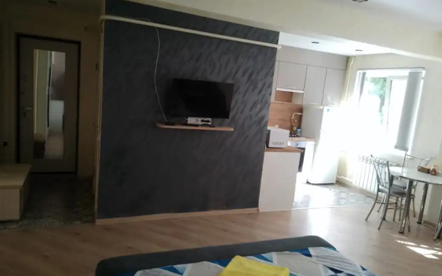 Апартаменты на Николо Козинского 65