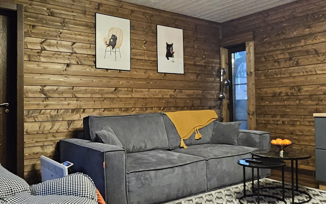 Частный дом большой