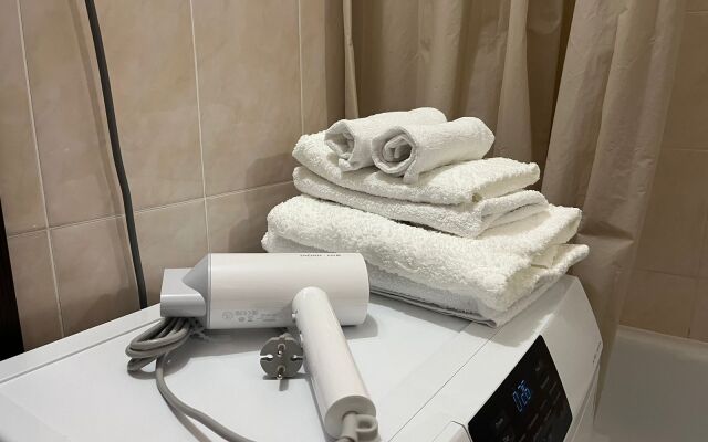 Евро-апартаменты Vetka Home на Мясниковой